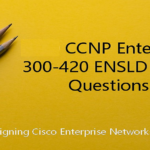 Cisco 300-420 Braindumps