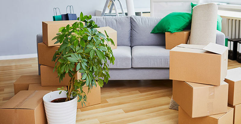 How to Organize Your Boxes During Residential Moving