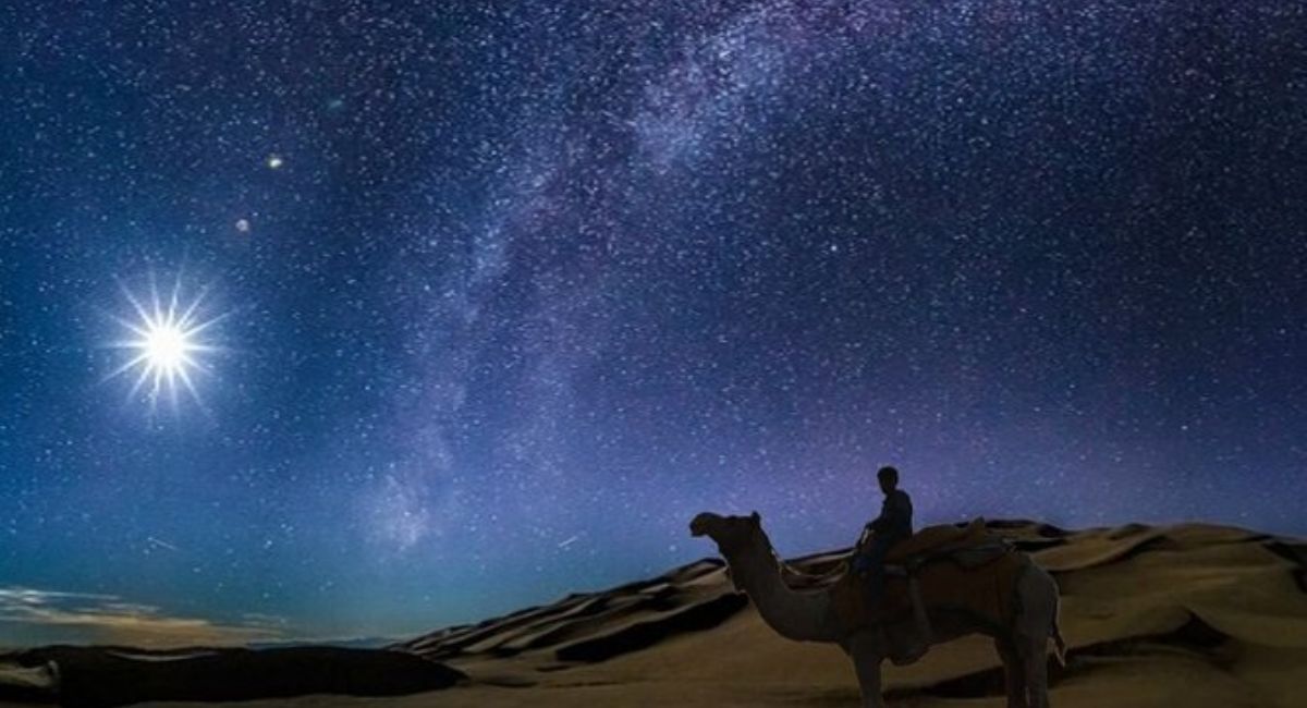 What to Expect on Your First Night Safari in the Desert